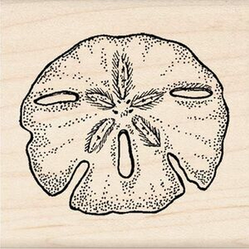 K&Company Sand Dollar