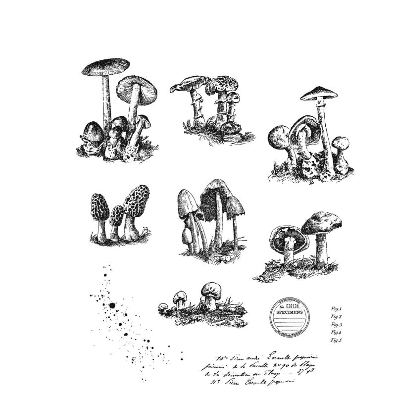 Art Gone Wild Tiny Toadstools Cling Stamps