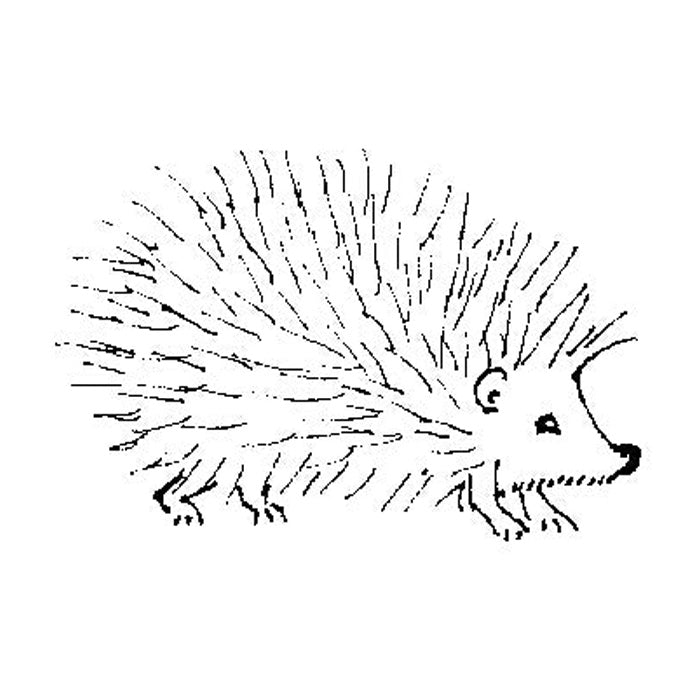 Hedgehog