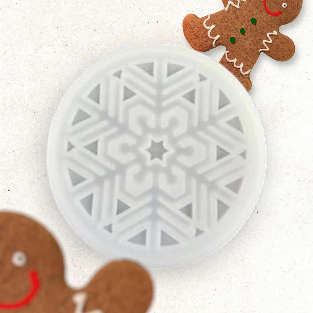 Earlyriser Snow Coaster Silicone Mould