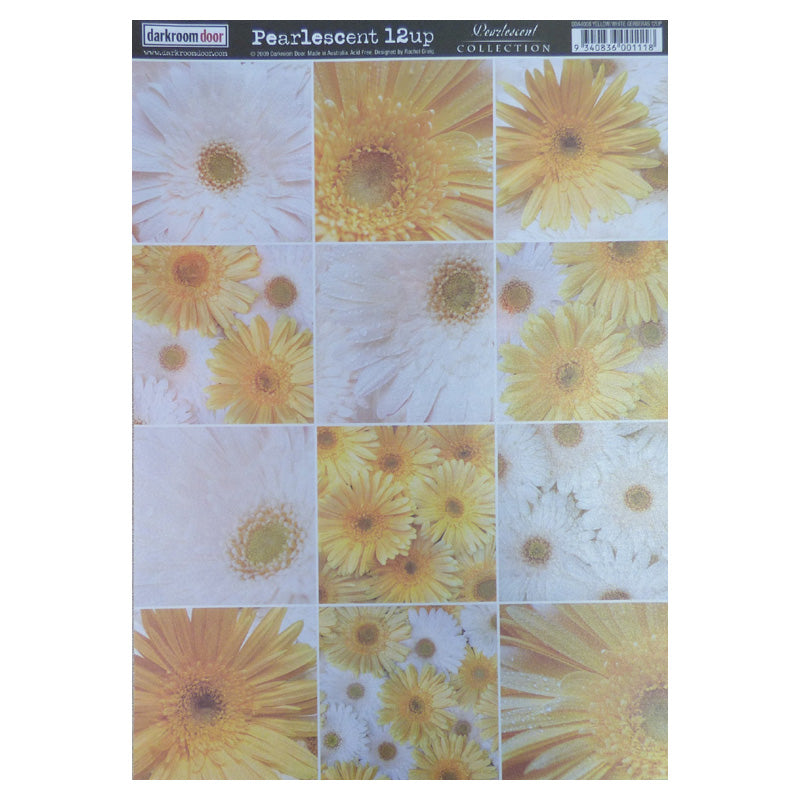 Darkroom Door Pearlescent Paper Yellowith Whit