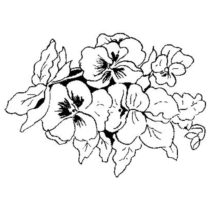 Pansies Funstamp