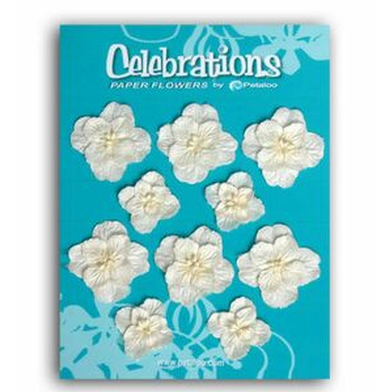 Petaloo Hydrangeas X 10 - Cream