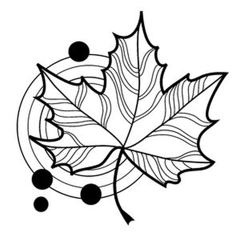 K&Company Fun Maple Leaf