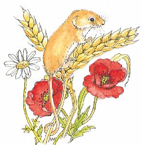 Aw Harvest Mouse