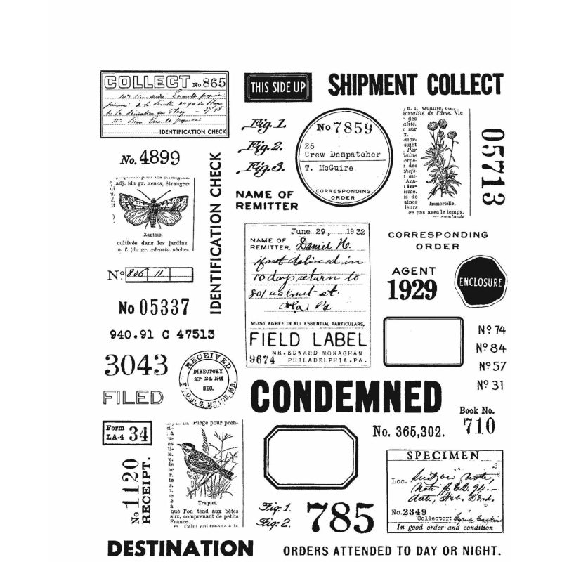 Art Gone Wild Field Notes Cling Stamps